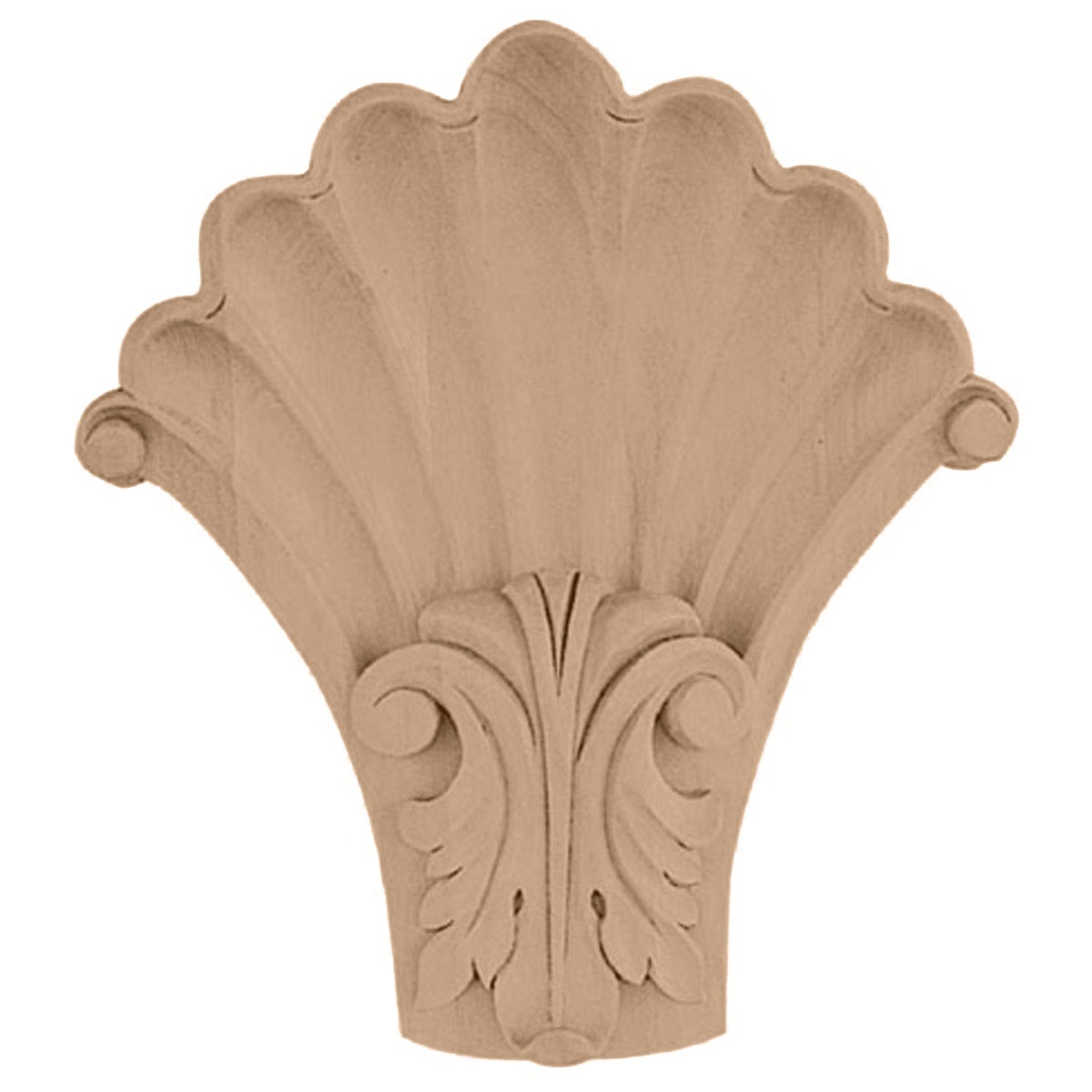 COR05X01X06SH Medium Acanthus in Shell Corbel