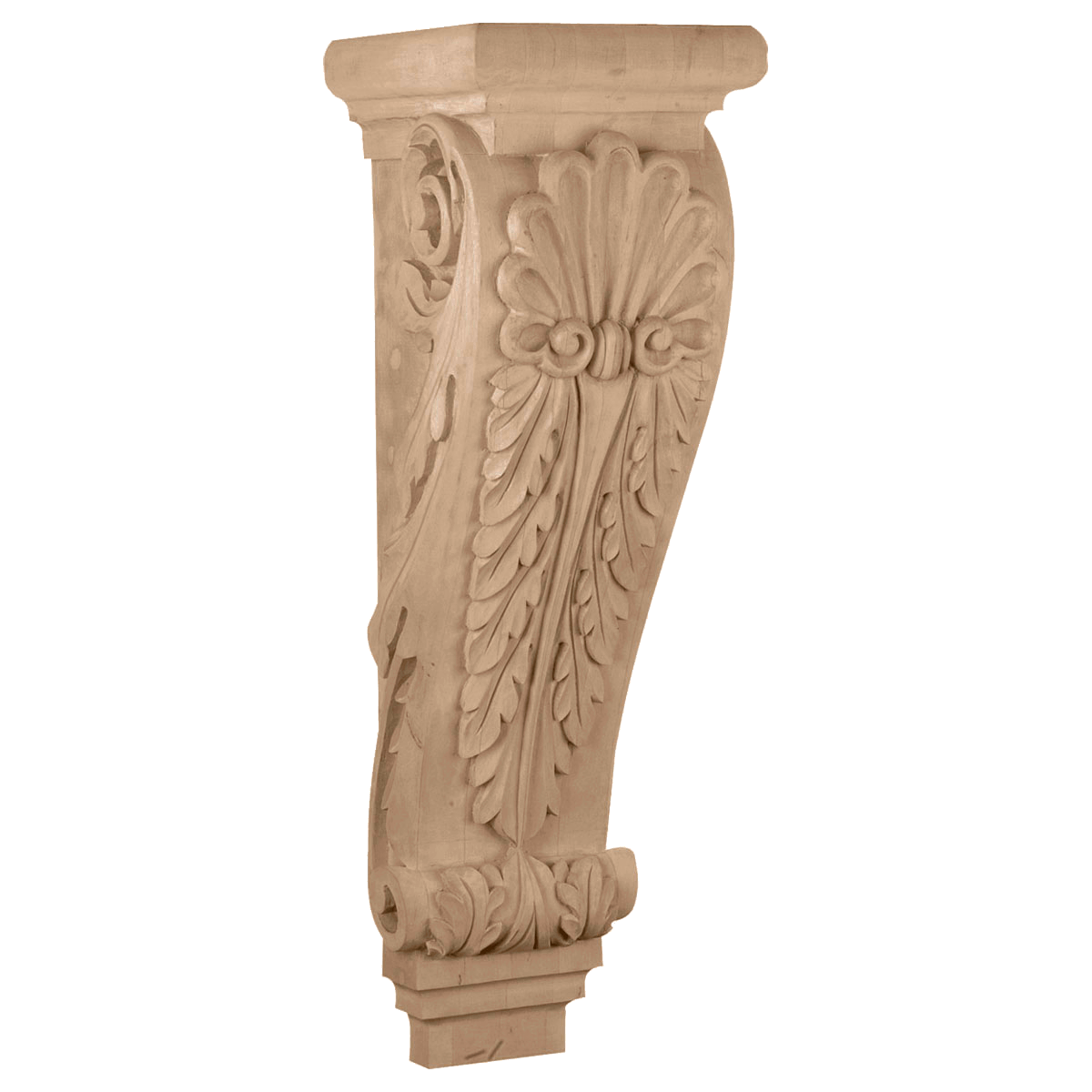 CORSH10 Jumbo Shell Corbel