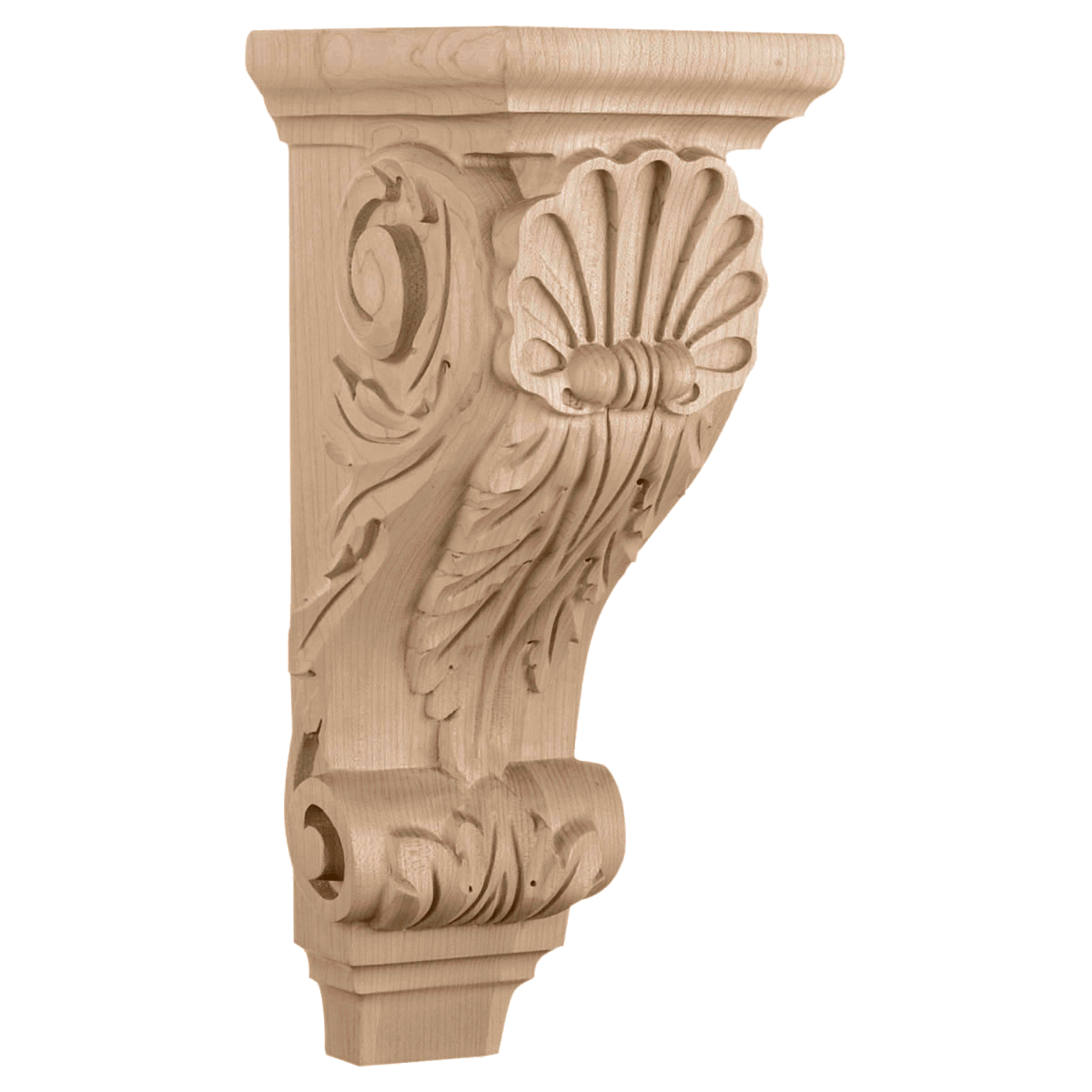 CORW04X05X10SH Shell Corbel